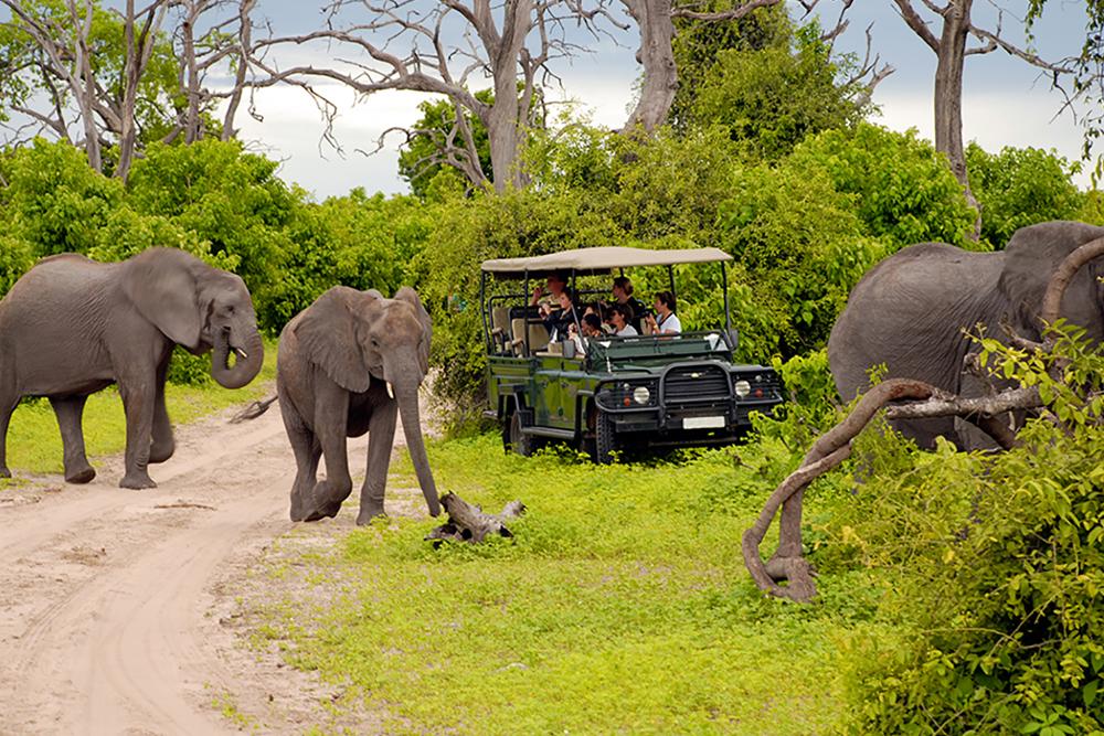 Natureza e Cultura: Do Kruger à Cidade do Cabo